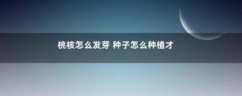 桃核怎么发芽 种子怎么种植才能发芽快